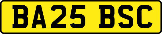 BA25BSC