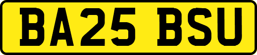 BA25BSU