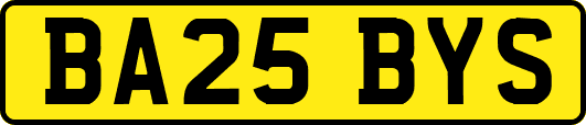 BA25BYS
