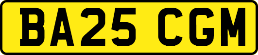 BA25CGM