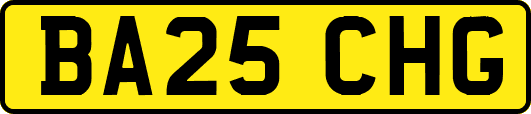 BA25CHG