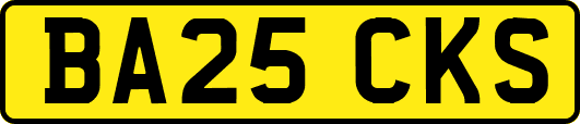 BA25CKS