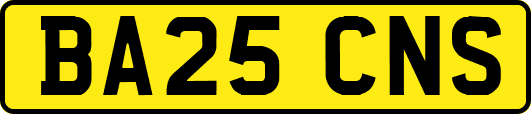 BA25CNS
