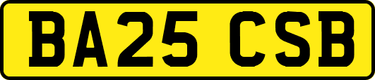 BA25CSB