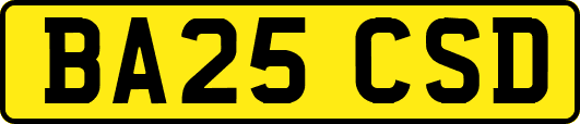 BA25CSD