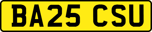 BA25CSU