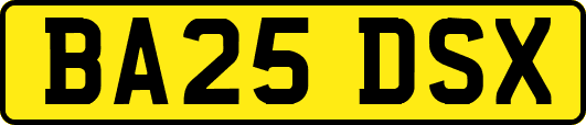BA25DSX