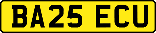 BA25ECU