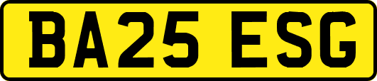 BA25ESG