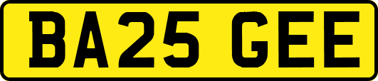 BA25GEE