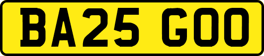 BA25GOO