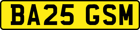 BA25GSM