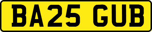 BA25GUB