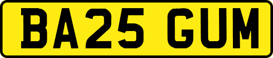 BA25GUM