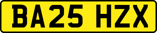 BA25HZX