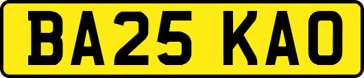 BA25KAO