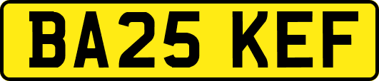 BA25KEF