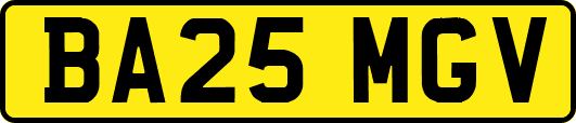 BA25MGV