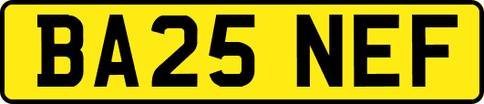 BA25NEF