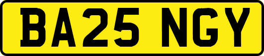 BA25NGY