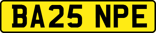BA25NPE