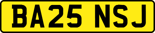 BA25NSJ