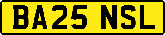 BA25NSL