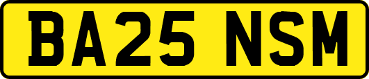 BA25NSM