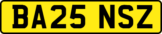 BA25NSZ