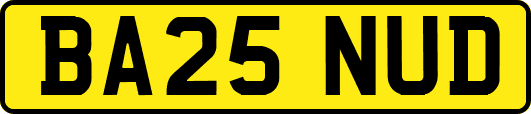 BA25NUD