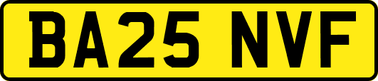 BA25NVF