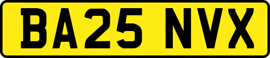 BA25NVX