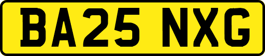 BA25NXG