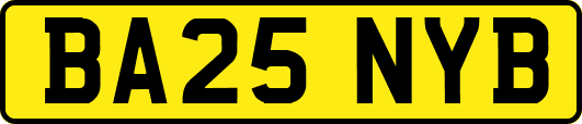 BA25NYB