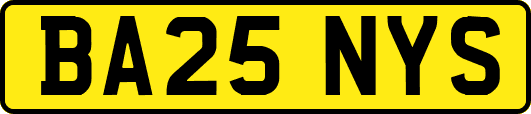 BA25NYS