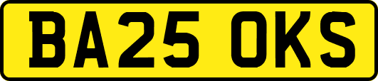 BA25OKS