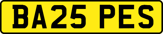 BA25PES