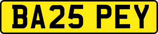 BA25PEY