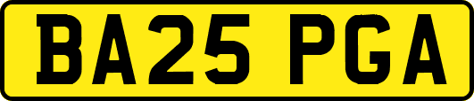 BA25PGA