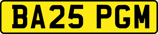 BA25PGM