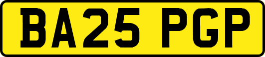 BA25PGP