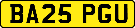 BA25PGU