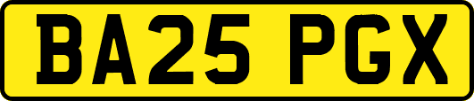 BA25PGX