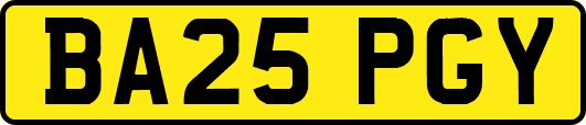 BA25PGY