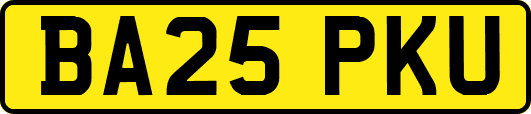 BA25PKU