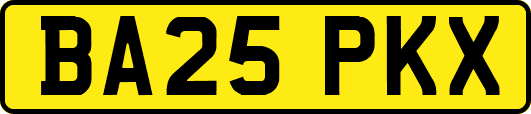 BA25PKX