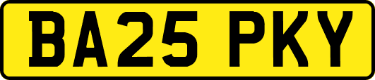 BA25PKY