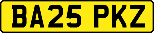 BA25PKZ