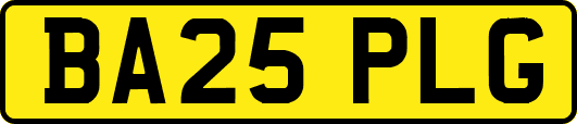 BA25PLG