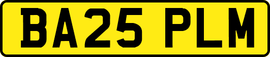 BA25PLM